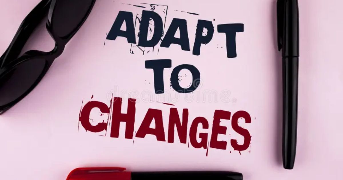 Adapting to Change: Staying Ahead with Quotex Insights