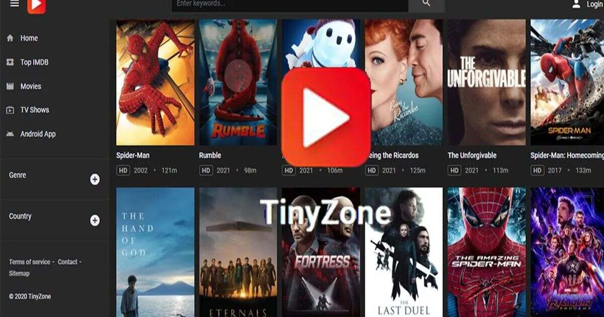 Want to Build a Tinyzone-like Website? Here’s How